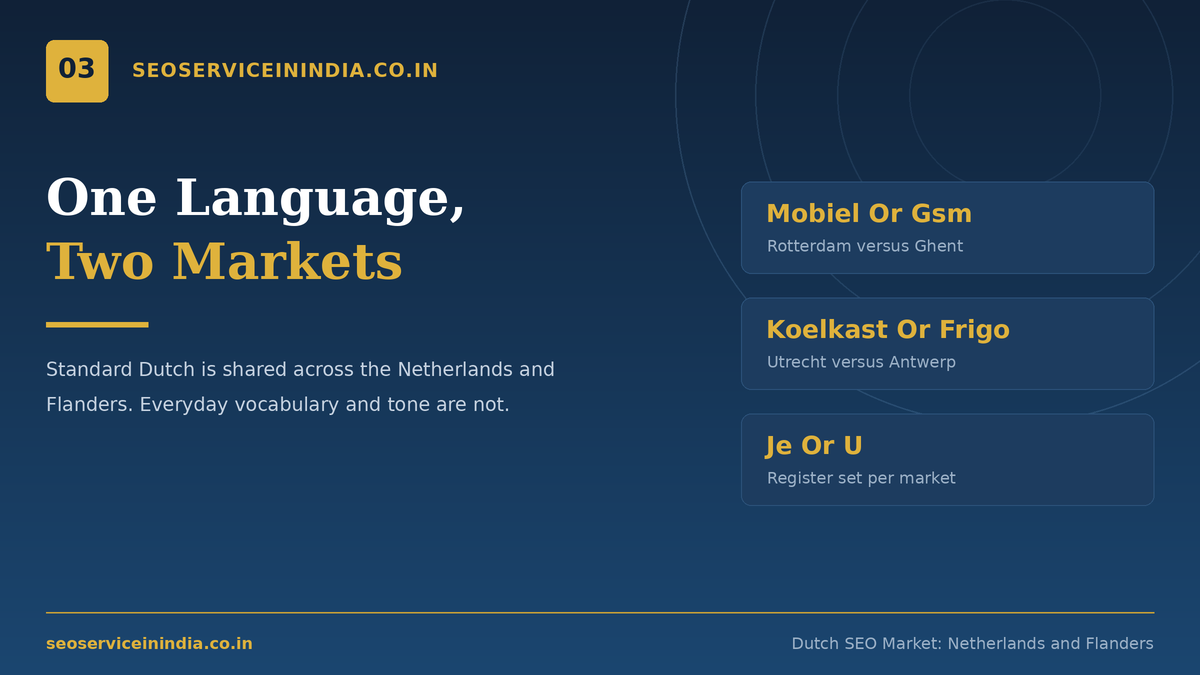 Dutch SEO services market opportunity across the Netherlands and Flanders