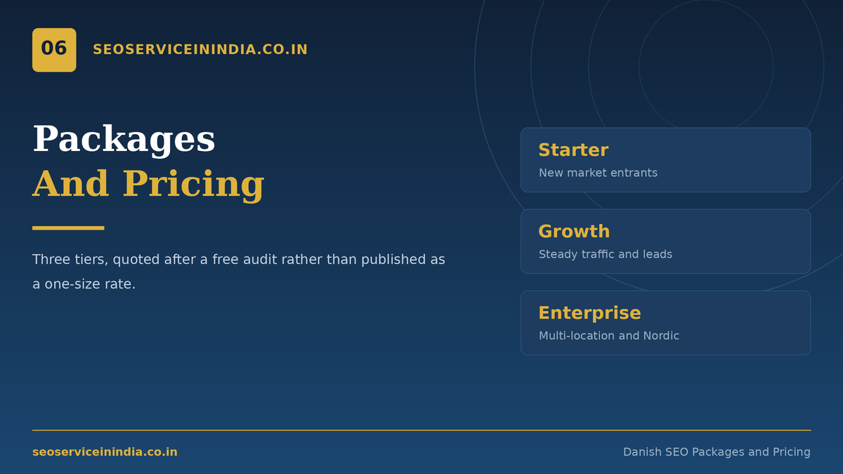 Danish SEO packages pricing tiers Starter Growth Enterprise