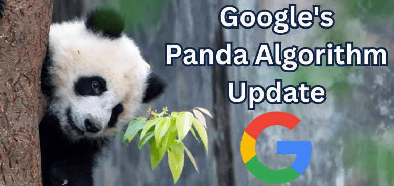google-panda-algorithm-update.png